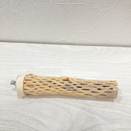カクタスパーチ【3】極小 直径約3cm 長さ15cm