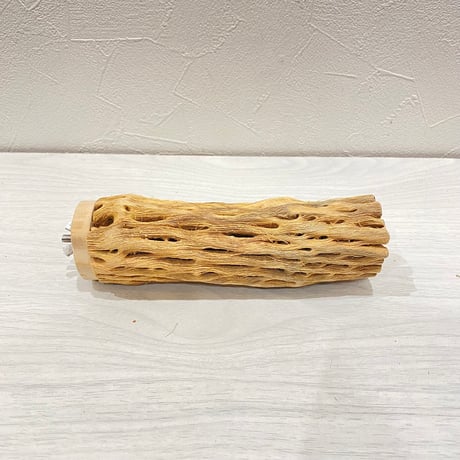 カクタスパーチ【C】直径4~5cm/長さ15cm