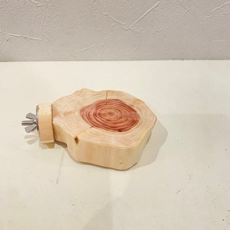貝塚伊吹テーブルパーチ