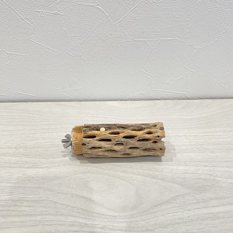 カクタスパーチ② 小直径3.5cm 長さ9cm