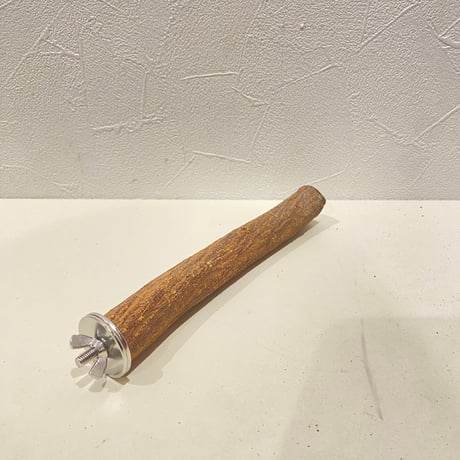 自然木（ツタ）パーチ ① 直径約2.2cm/長さ17.5cm