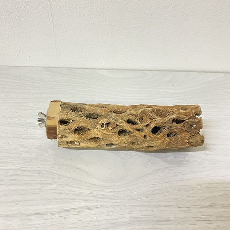 【中型・大型用】カクタスパーチ中④　直径5cm／長さ15cm