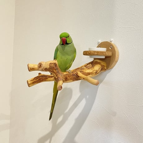 ピノキオの鼻 おやつ入れ付き④