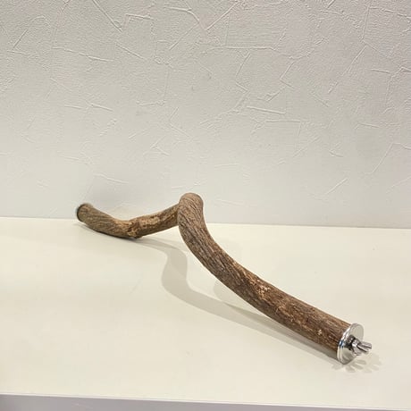 殿様パーチ④（自然木ツタ） HOEI465サイズ  直径約2.3cm