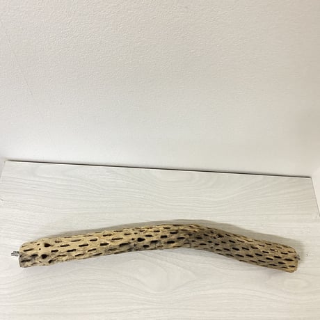 ケージサイズカクタスパーチ② 小サイズ直径4cm HOEI465サイズ