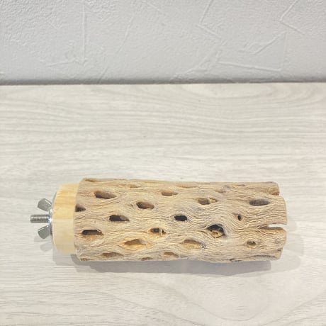 カクタスパーチ①  小　直径4cm前後 長さ10cm