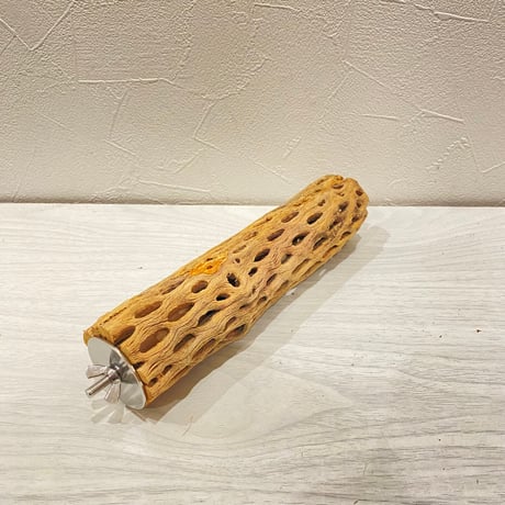 カクタスパーチ【F】直径4~5cm/長さ20cm