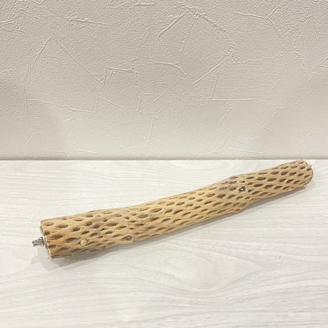 【M様専用】カクタスパーチ 小サイズ 直径（約3.5cm）長さ/34cm