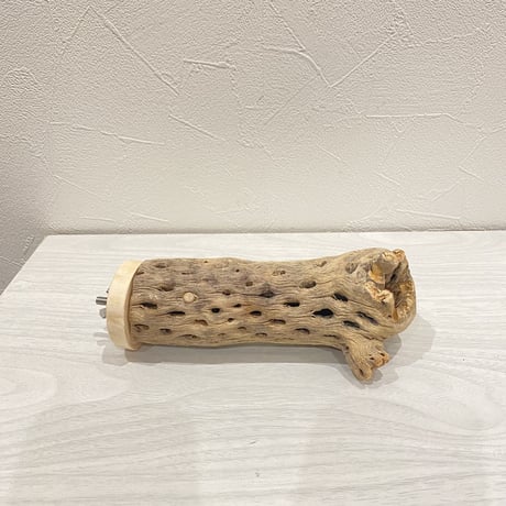 カクタスパーチ④  中 直径約5.5cm 長さ16cm