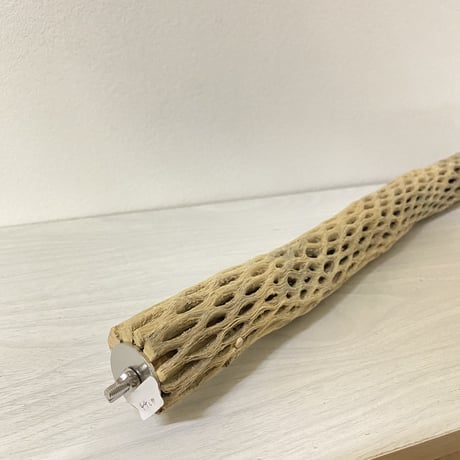ケージサイズカクタスパーチ⑤ 小サイズ直径3-4cm HOEI465サイズ