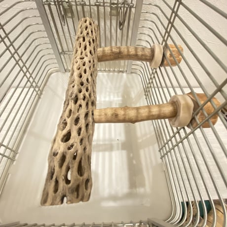 使い方いろいろ 屋上カクタスパーチ【B】 極小 横25cm 高さ8cm