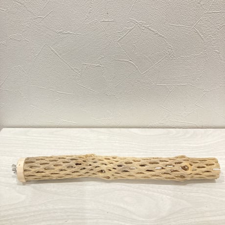 カクタスパーチ小㉘ 直径約3~4cm 長さ30cm
