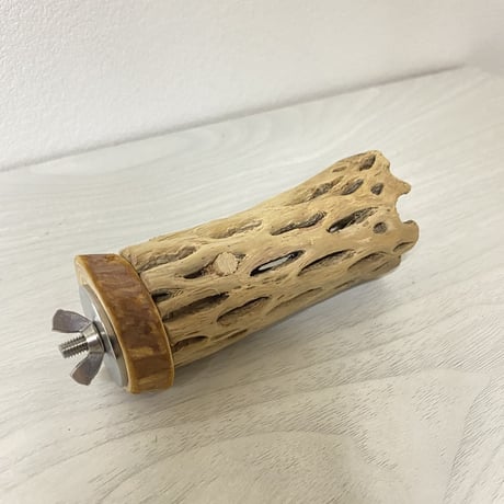 【I様専用】カクタスパーチ 小サイズ 直径（約2-3cm）長さ：9cm