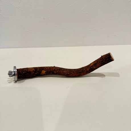 自然木（ツタ）パーチ 直径約1.8cm/長さ19cm
