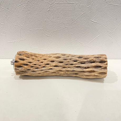 カクタスパーチ | STORES