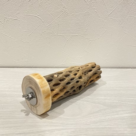 カクタスパーチ④ 中直径約5.5cm/15.5cm