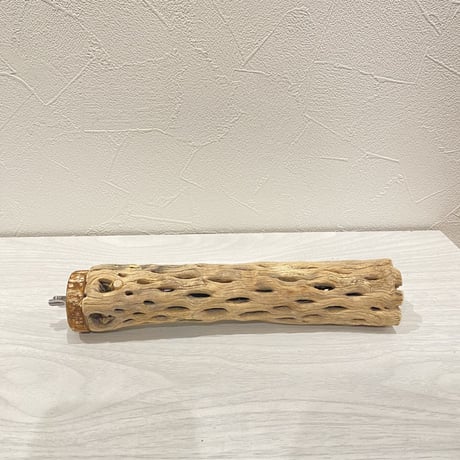 カクタスパーチ③  小 直径約4cm 長さ20cm