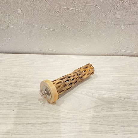 カクタスパーチ極小2-3㎝長さ12㎝ ①