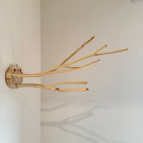 桧のピノキオの鼻 ⑥ お鼻3本