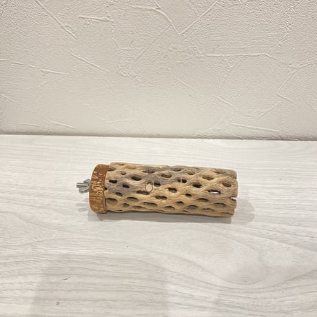 カクタスパーチ【13】  小 直径約4cm 長さ10cm
