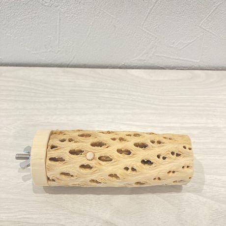 カクタスパーチ③  小　直径4cm前後 長さ10cm