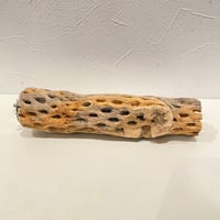 カクタスパーチ⑩ 直径約4.3cm/長さ20cm
