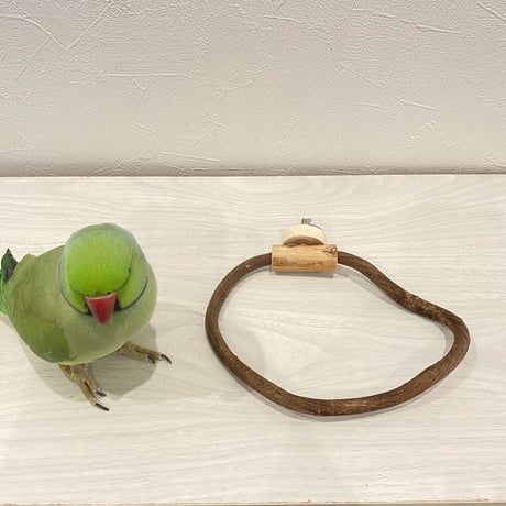 自然木（ツタ）のドーナツパーチビックサイズ  Ｇパーチ直径1cm／円直径13.5×18cm