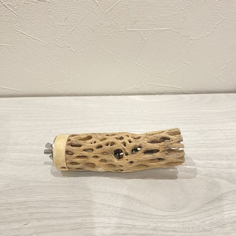 カクタスパーチ⑧  極小 直径3cm前後 長さ10cm