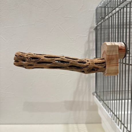 カクタスパーチ極小サイズ⑥ 直径2.3cm/長さ15cm【自然木 止まり木 バンブルフット 趾瘤症 】