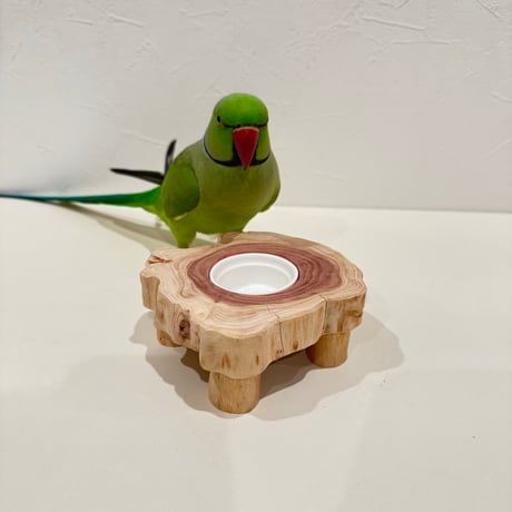 貝塚伊吹おやつ入れつきちゃぶ台【自然木 インコ】