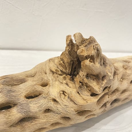 ケージサイズカクタスパーチ⑦  中サイズ（直径約5.5cm）HOEI465