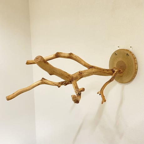 【studiorereboo様専用】おでんくん カクタスとウッドビーズのおもちゃ ピノキオの鼻