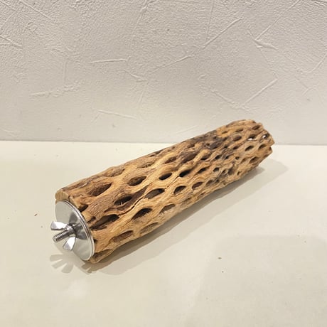 カクタスパーチ(R) 直径約5cm/長さ20cm