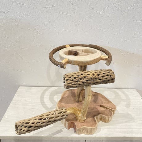ツタとカクタス アリスのお茶会テーブル
