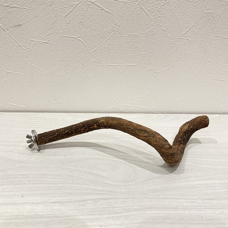 自然木（ツタ）パーチ⑤ 直径1.8cm 長さ26cm