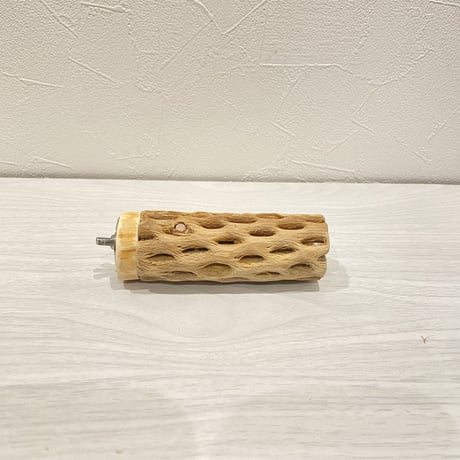 カクタスパーチ【4】 小直径3.5cm/10cm