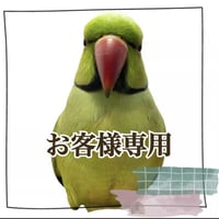 【whelk様専用】