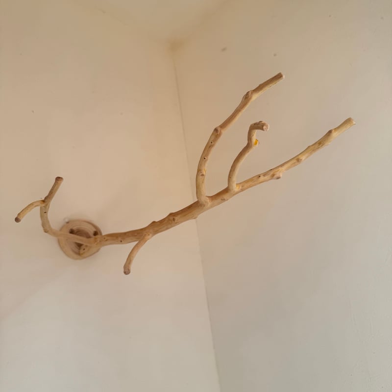 貝塚伊吹木製昆虫止まり木 約65cm O様専用】貝塚伊吹のピノキオの鼻 【インコ 止まり木 自然木 パーチ