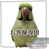【kizu様専用】つり下げゆらゆらバードアスレチック