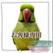 【nuinui0626様専用】モモイロインコさん用 ツタの両留めパーチ44cm【インコ天然木 自然木 パーチ 止まり木】