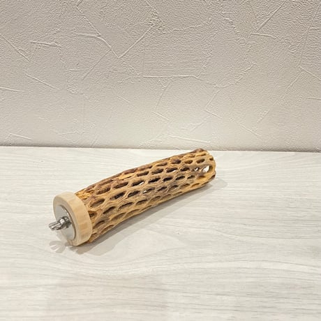 カクタスパーチ③ 小サイズ長さ15cm