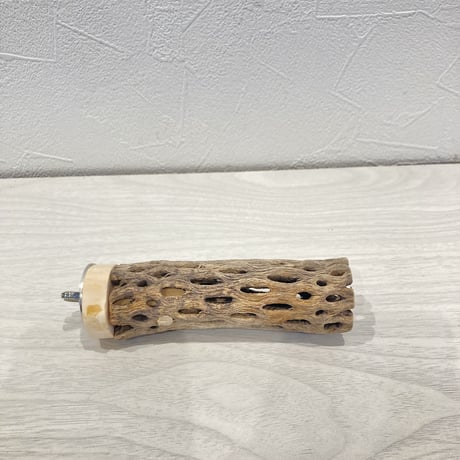 カクタスパーチ極小③ 直径約2~3cm 長さ10cm