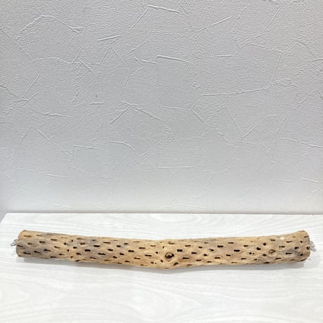 ケージサイズカクタスパーチ③ 小サイズ直径3-4cm HOEI465サイズ