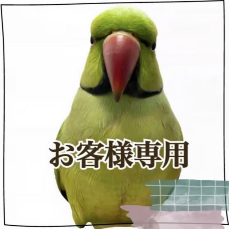T様専用】ツタのスタンドパーチ 殿様パーチHOEI465【インコ 自然木