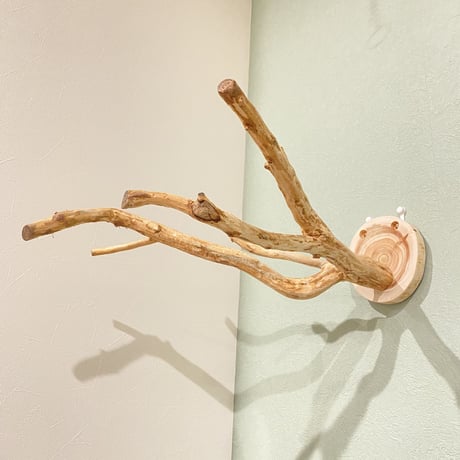ピノキオの鼻 ③  中型から大型用