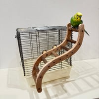 ウェーブラダー ハシゴ 【自然木の止まり木 インコのおもちゃ】