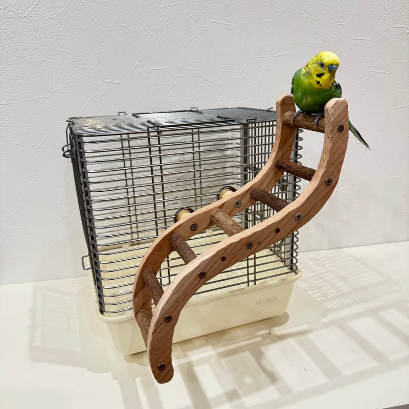 ウェーブラダー ハシゴ 【自然木の止まり木 インコのおもちゃ】 | 自然