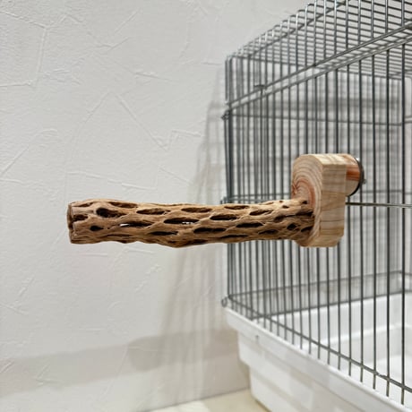 カクタスパーチ極小サイズ⑦ 直径2.3cm/長さ15cm【自然木 止まり木 バンブルフット 趾瘤症 】