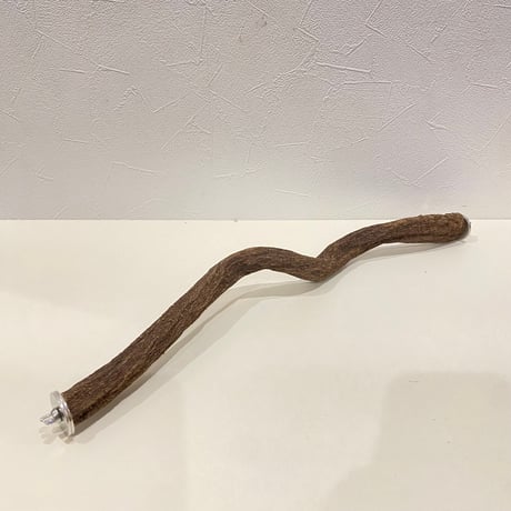 殿様パーチ（自然木ツタ） HOEI465サイズ 直径約2.2cm