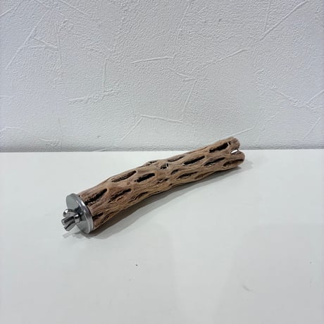 カクタスパーチ極小サイズ⑨ 直径約2.5cm/長さ15cm【自然木 止まり木 バンブルフット 趾瘤症 】